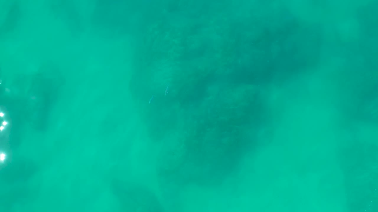 Soft blue-green underwater view at Shipwrecks Los Cabos with faint coral forms below the surface, sandy bottom texture, and no visible people.