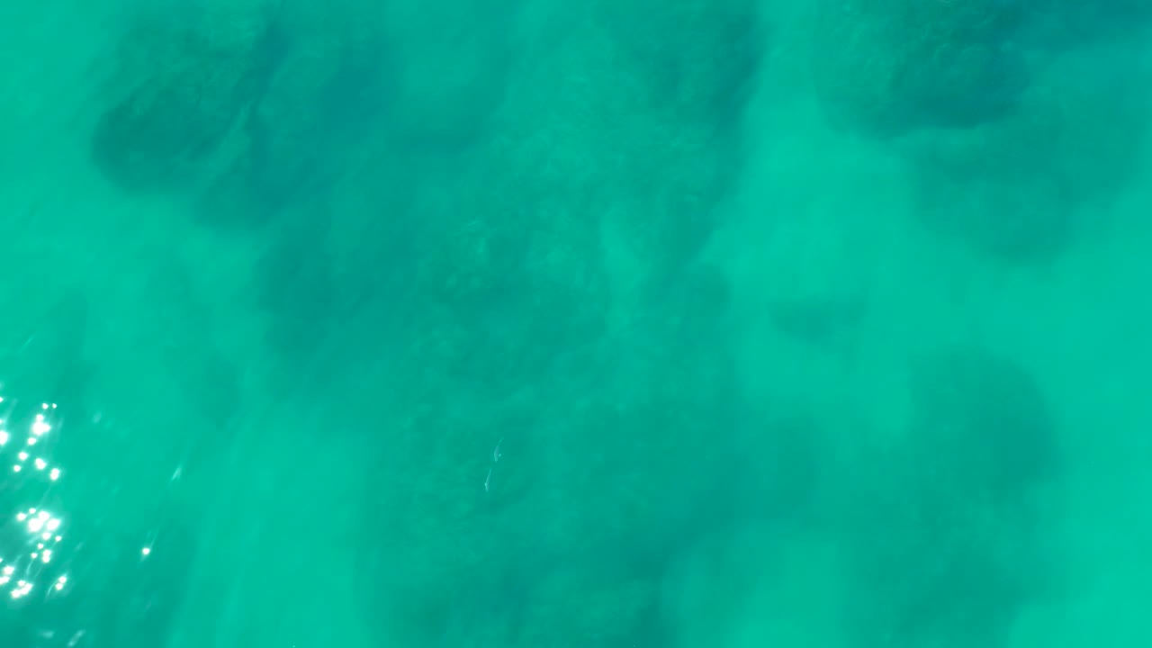 Sun reflections sparkle over darker coral forms beneath turquoise water at Shipwrecks Los Cabos, with the seabed visible across the frame and no visible people.