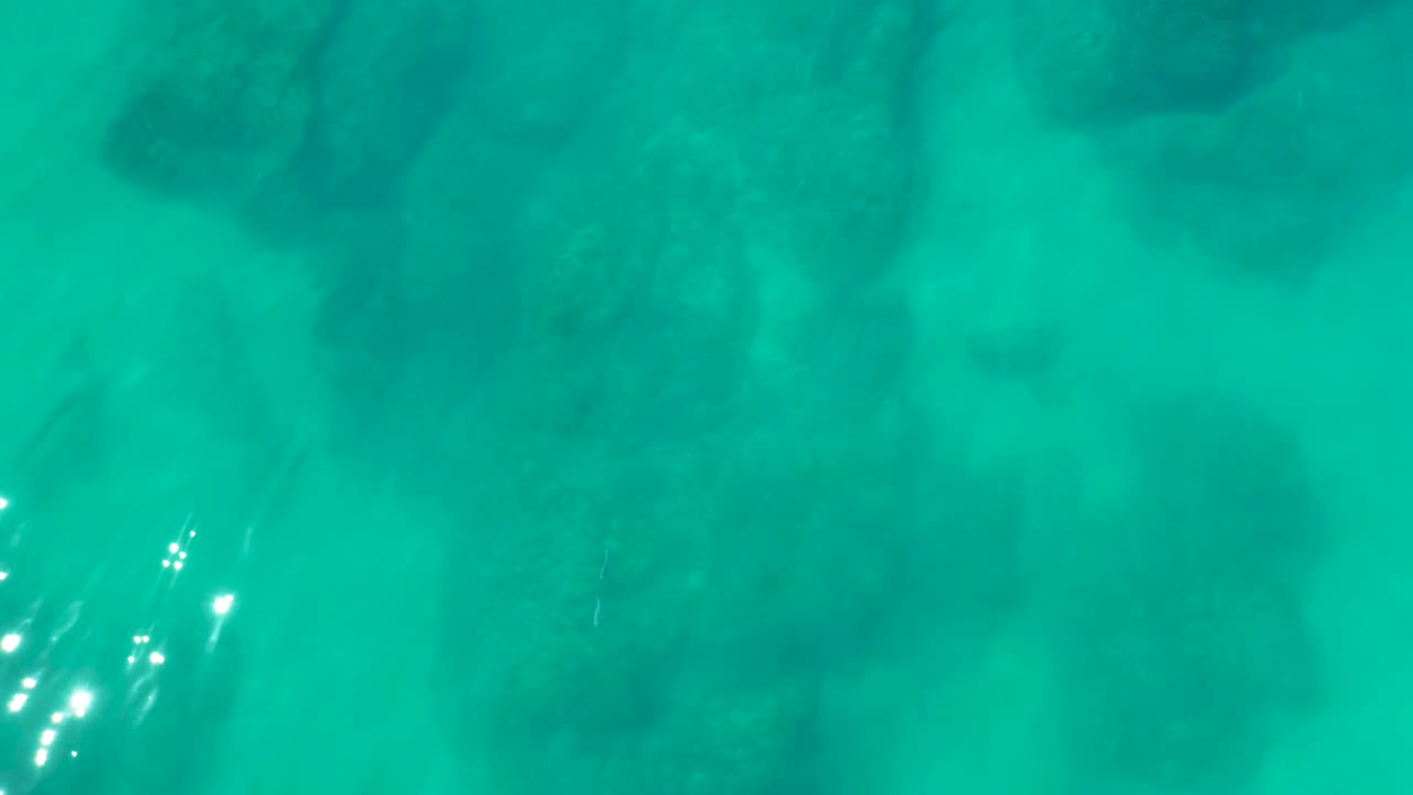 Soft-edged coral silhouettes sit under clear green-blue water at Shipwrecks Los Cabos, with faint ripples and no visible people in the frame.