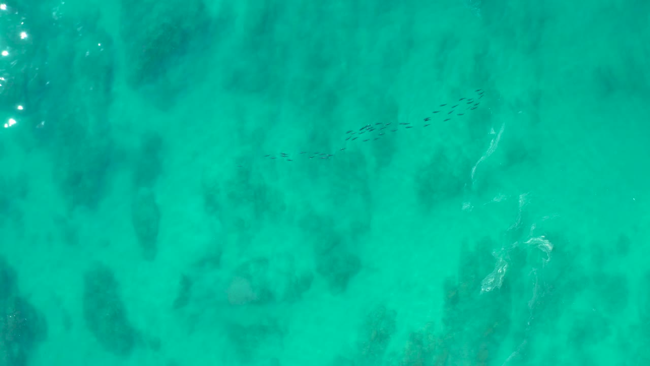Overhead turquoise water with dark seabed patches and a small school of fish.