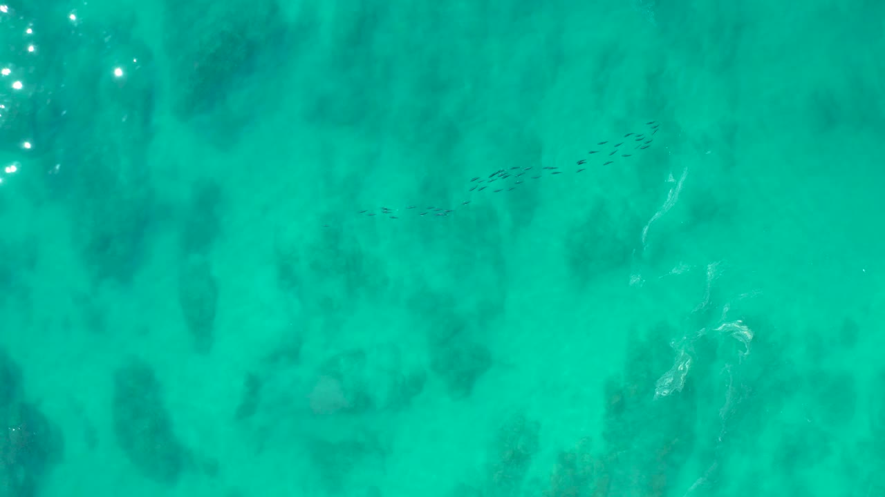 Clear turquoise water at Shipwrecks Los Cabos shows a small fish school shifted across the frame over mottled seabed shapes and faint bright reflections, with no visible people.