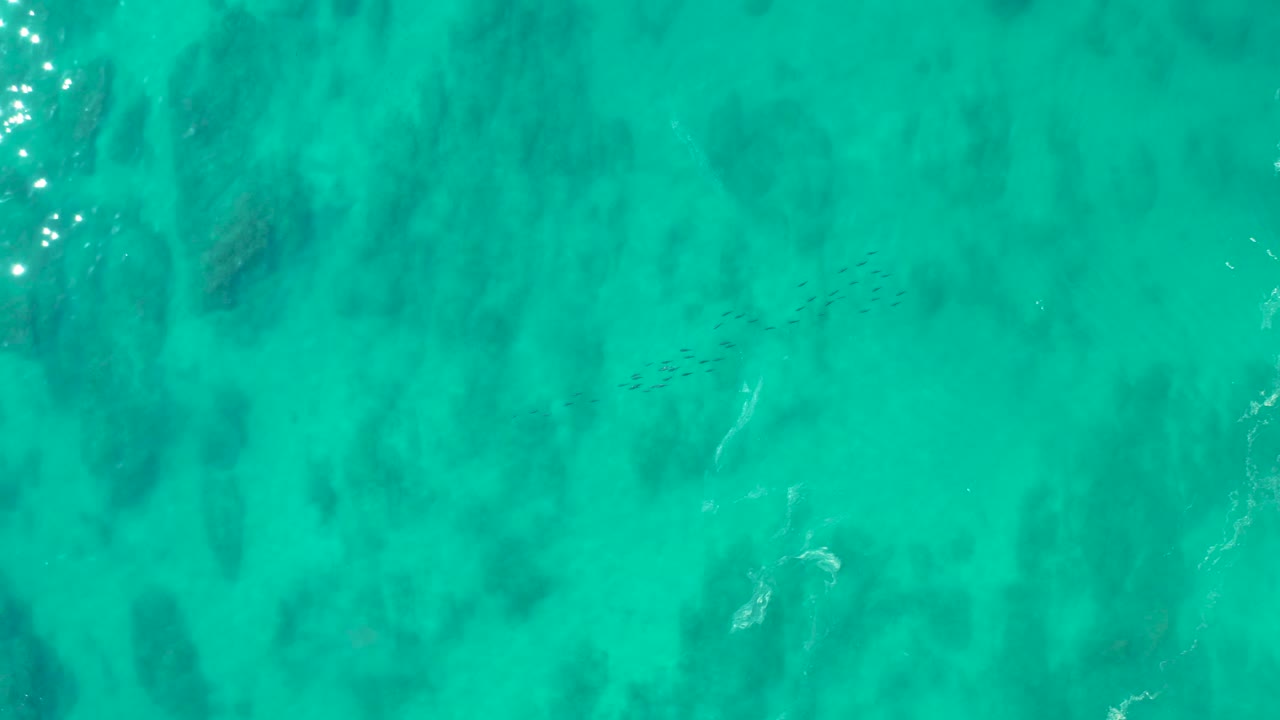 Overhead view of turquoise water at Shipwrecks Los Cabos with dark seabed formations and a faint school of fish near the right side, with no visible people.