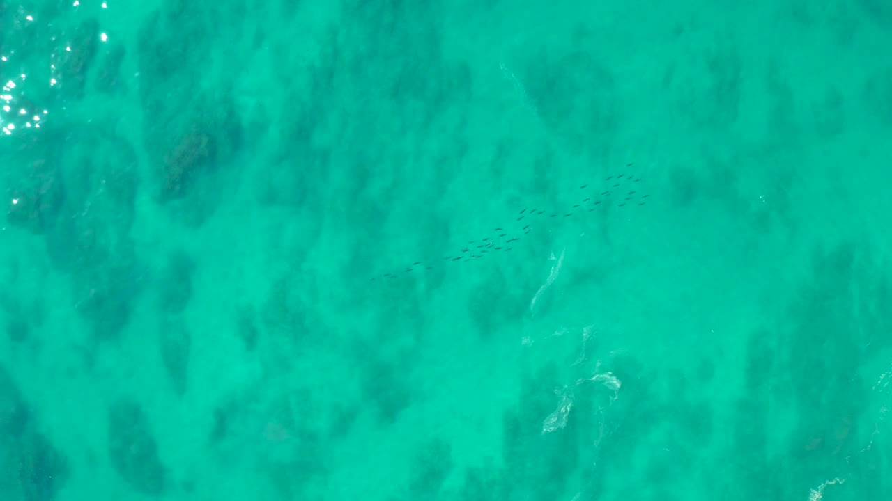 Top-down view at Shipwrecks Los Cabos with scattered fish specks crossing midframe above dark submerged formations in bright turquoise water, with no visible people.