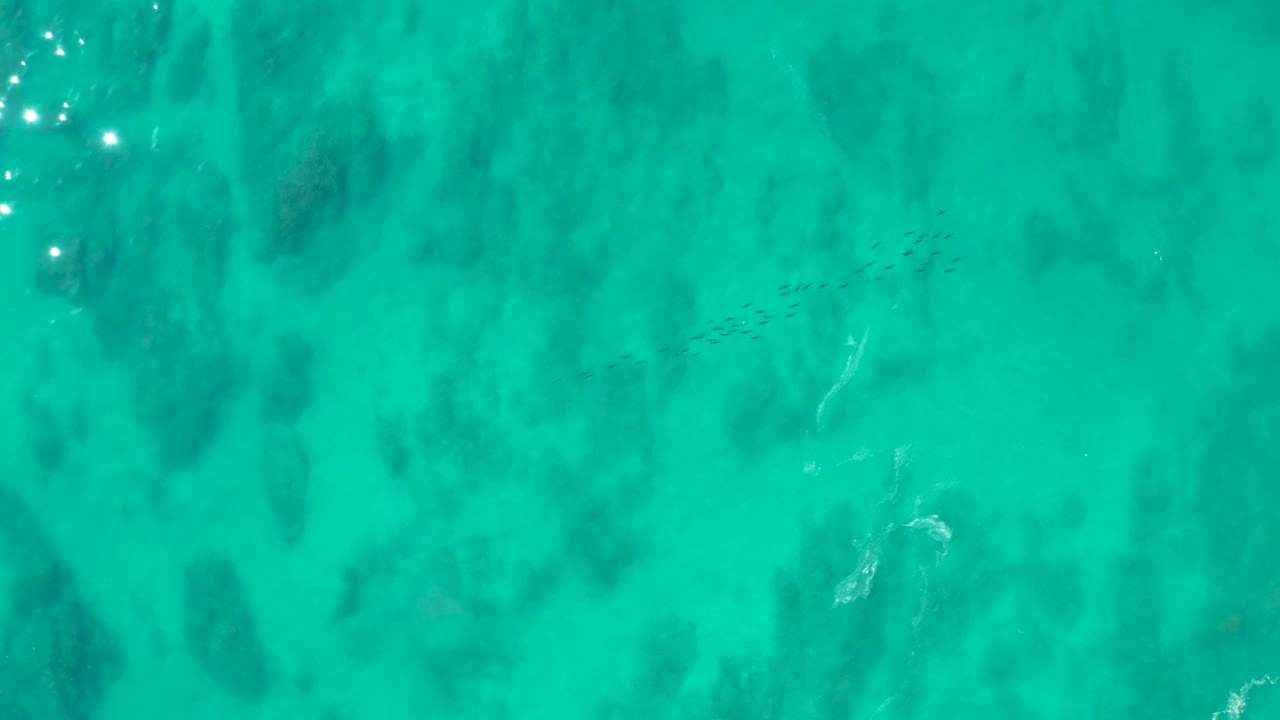 Turquoise ocean surface with seabed shadows, fish line, and bright sun reflections.