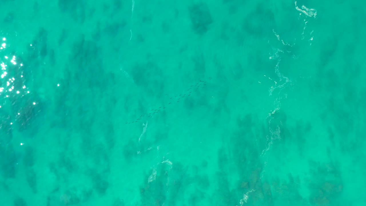 Turquoise ocean surface at Shipwrecks Los Cabos shows underwater coral or vegetation shapes, a thin white foam trail near the upper right, and no visible people.