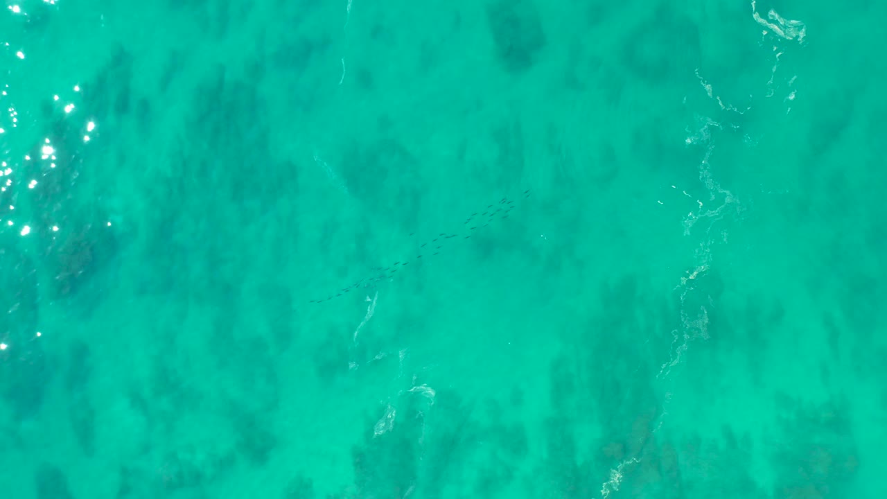 Bright turquoise water at Shipwrecks Los Cabos shows a full-frame overhead pattern of darker submerged patches, faint ripples, and no visible people.
