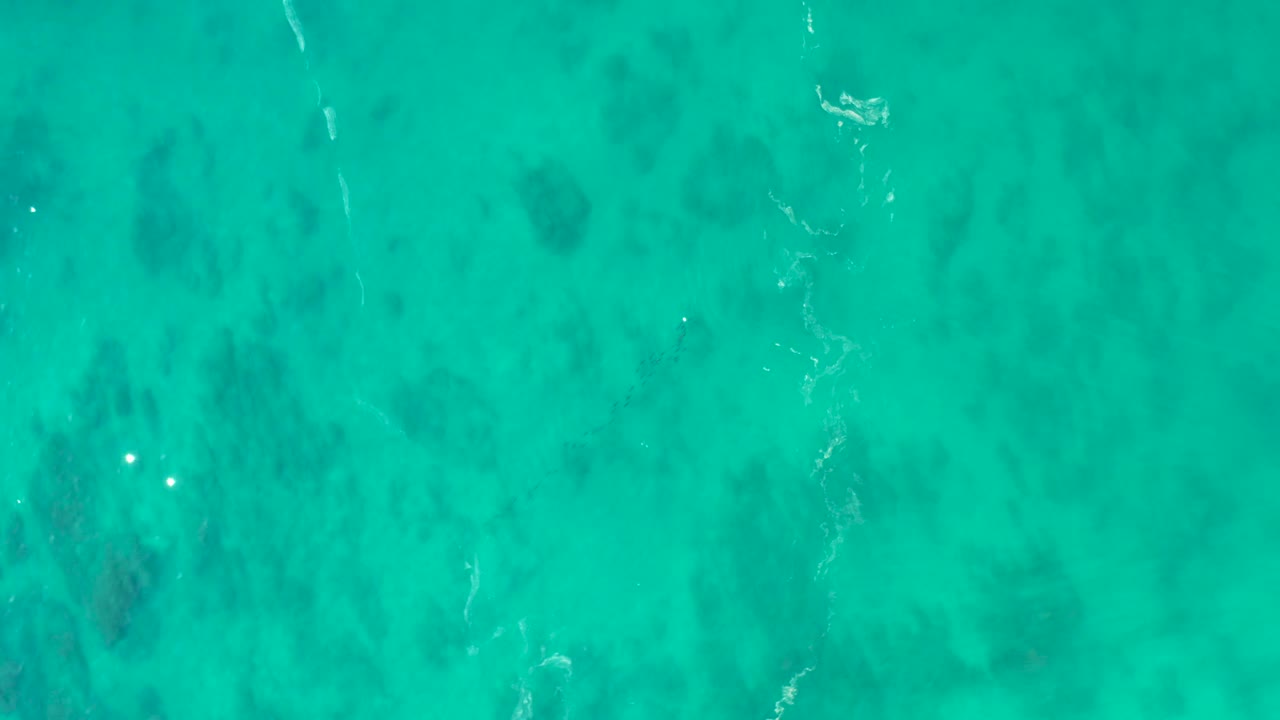 Turquoise ocean surface at Shipwrecks Los Cabos reveals darker coral-like seabed shapes beneath mild ripples, with no visible people.