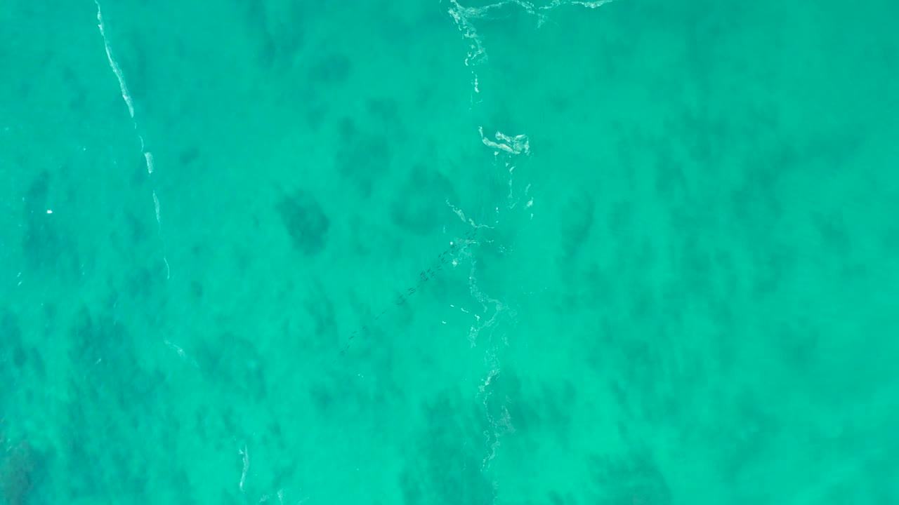 A top-down frame of turquoise water at Shipwrecks Los Cabos, Mexico, reveals soft coral or seabed patches under the transparent surface and no visible people.