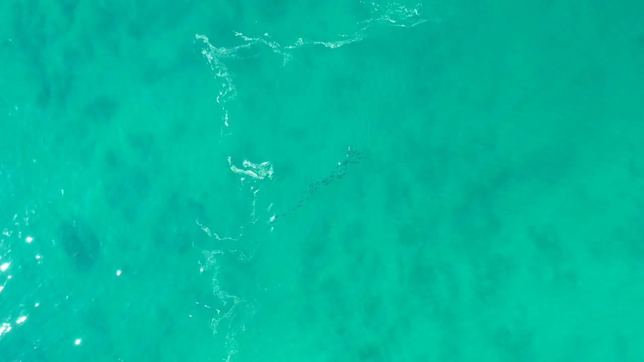 Turquoise water fills the frame at Shipwrecks Los Cabos, with faint ripples, submerged dark patches, and a small bright surface reflection, no visible people.
