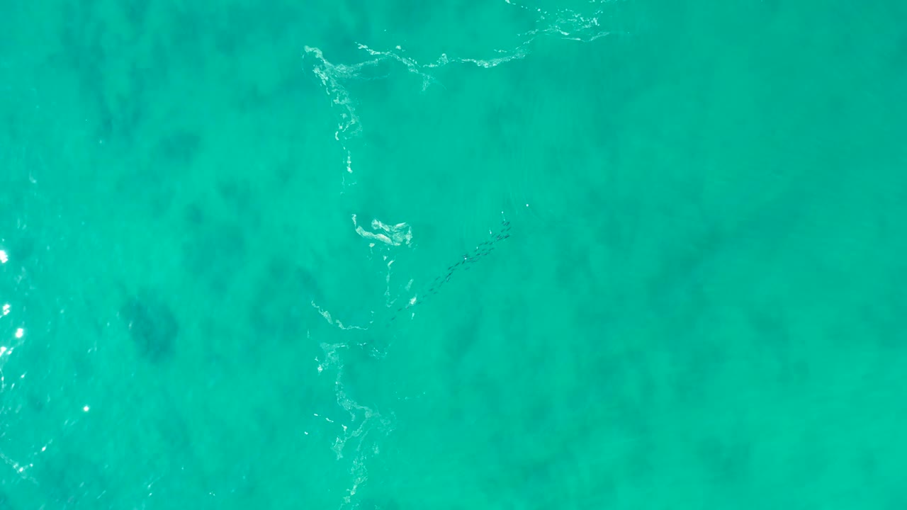 Clear turquoise sea at Shipwrecks Los Cabos shows a thin white foam line running through the frame and muted seabed forms beneath, no visible people.