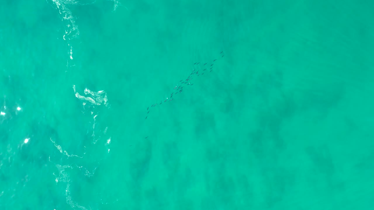 Turquoise ocean water with fish visible below the surface