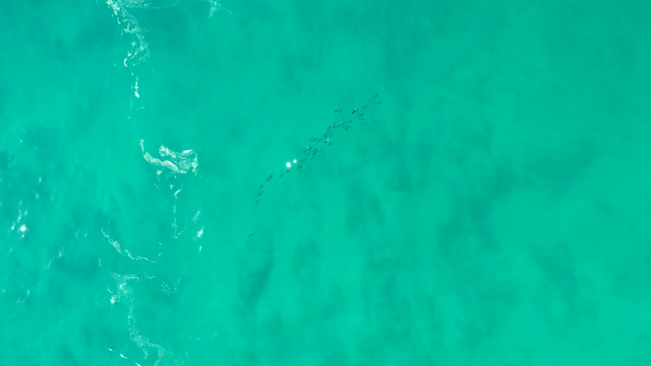 Top-down Shipwrecks Los Cabos ocean view with a darker fish line under the turquoise surface, small white foam marks in the upper left area, and no visible people.