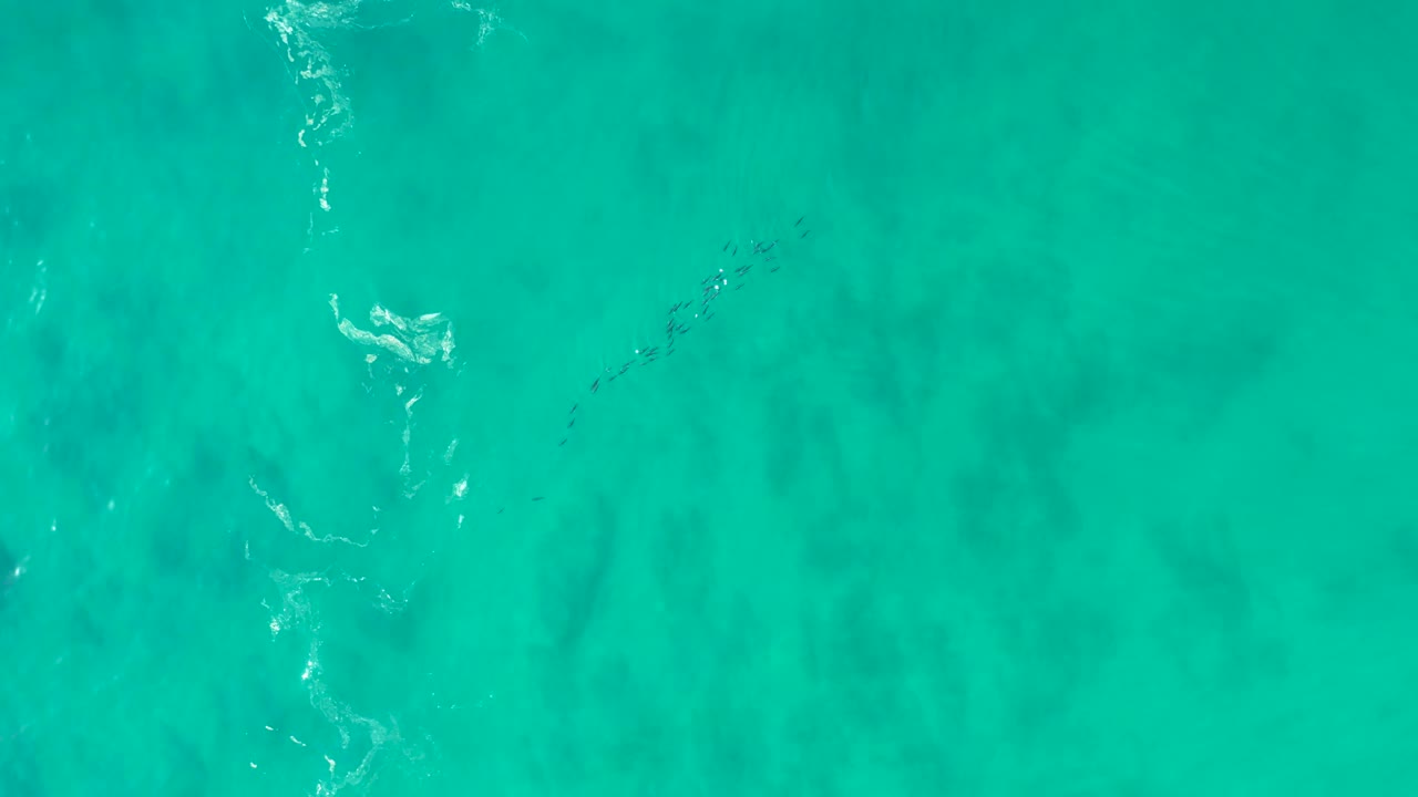 Aerial view of Shipwrecks Los Cabos turquoise water with the fish formation lower in frame, thin white foam streaks near the left side, visible ripples, and no visible people.