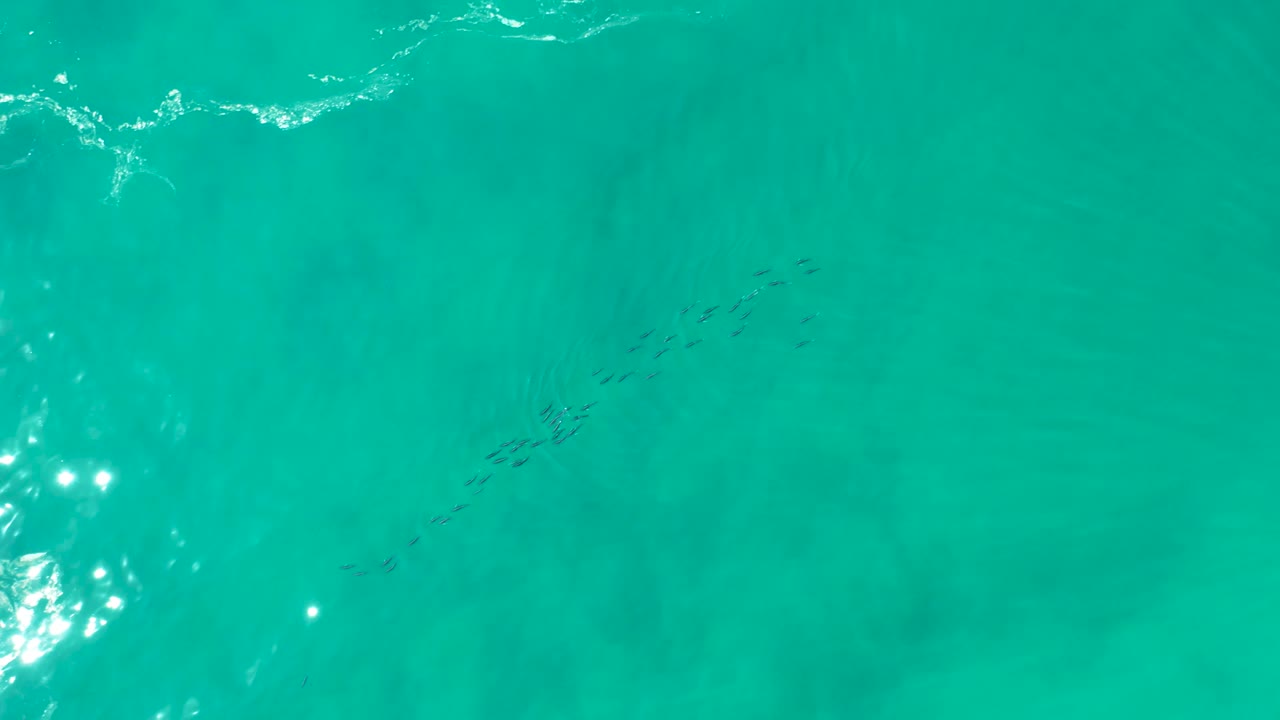Overhead Shipwrecks Los Cabos view with white wave shine along the upper area and a dark fish school crossing the clear green-blue water, with no visible people.
