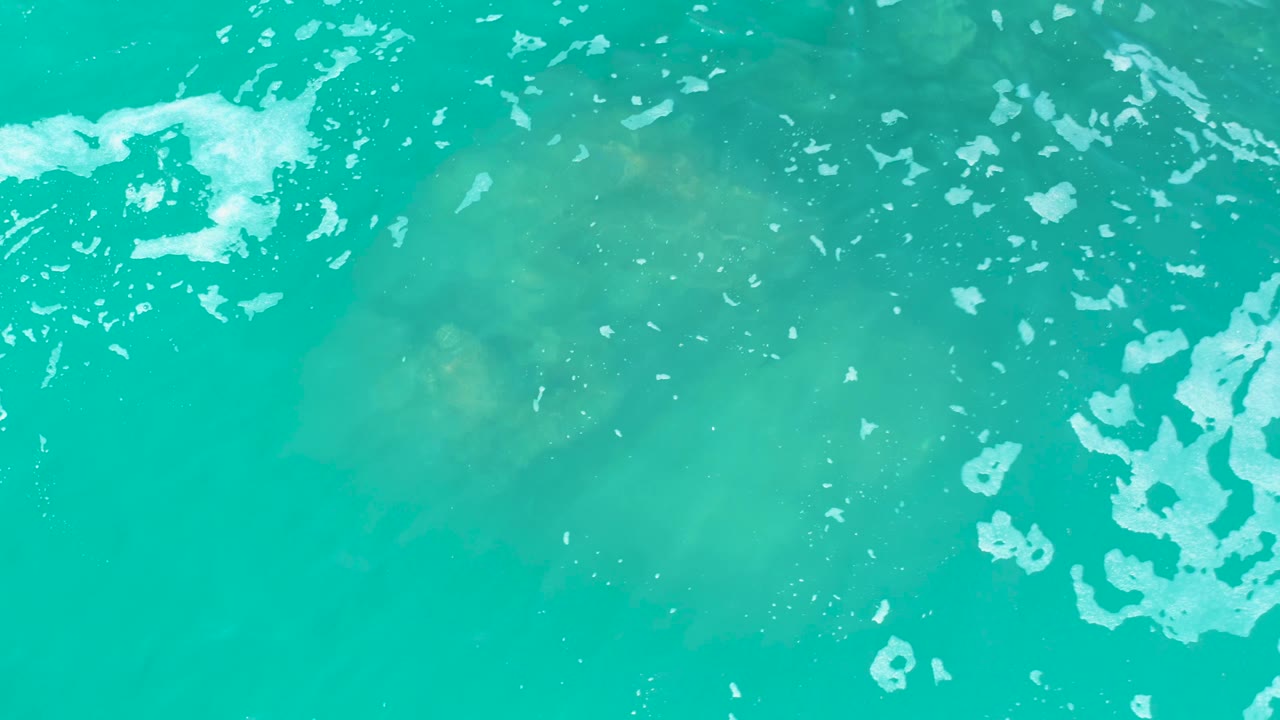 At Marquis Los Cabos, the jellyfish remains dimly visible under teal ocean water as a larger patch of white foam crosses the upper left area, with no visible people.
