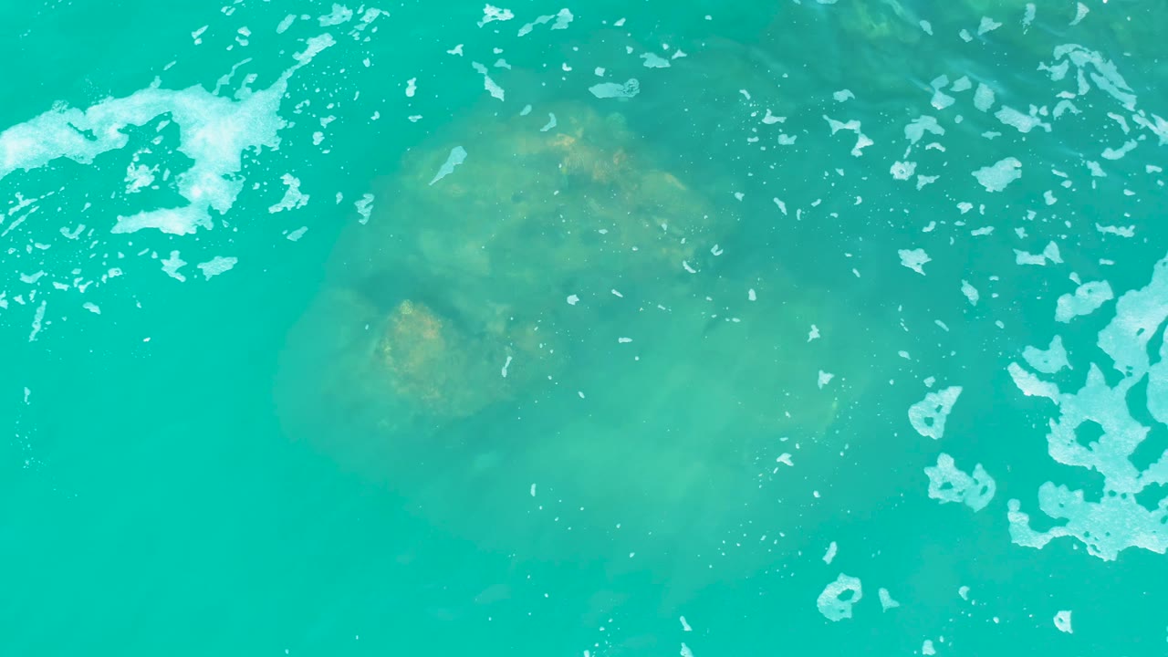 At Marquis Los Cabos, a pale jellyfish shape is visible below bright turquoise water with broken white foam clusters along the right side, with no visible people.
