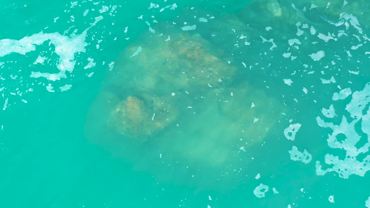 Large jellyfish form beneath turquoise water with foam at the sides
