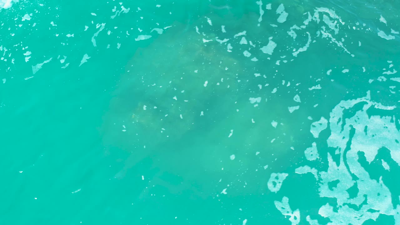 At Marquis Los Cabos, Mexico, a sea turtle appears faintly below bright turquoise water with white foam near the upper edge and no visible people.