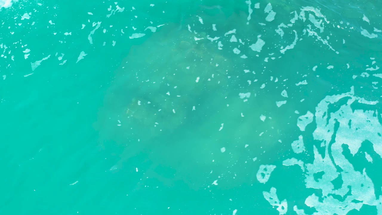 At 0:01 in the Marquis Los Cabos clip, the turtle remains faint under turquoise water while brighter foam gathers along the right side, with no visible people.