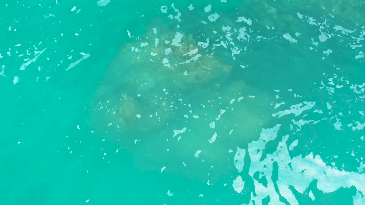 The manatee remains mostly submerged in clear turquoise water at Marquis Los Cabos, Mexico, while a larger patch of white foam gathers to the right and no people are visible.