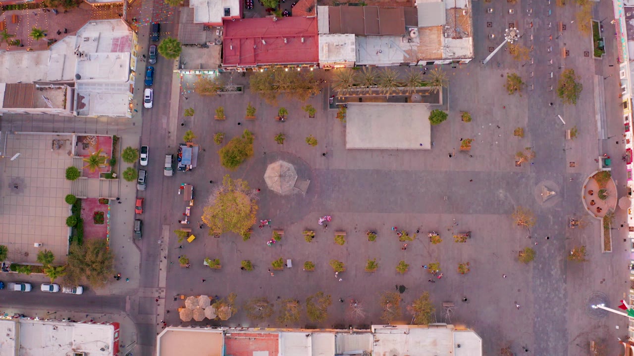 Top-down San Jose del Cabo plaza view with a large paved square, rows of small trees, surrounding rooftops, edge streets, parked cars, and no discernible people.