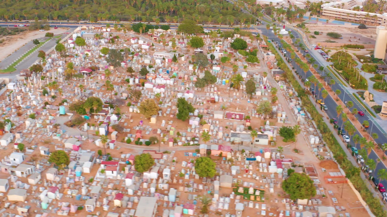 Elevated view across the San Jose Del Cabo cemetery with many white and pastel tombs, a road along the right side, background trees, and no visible people.