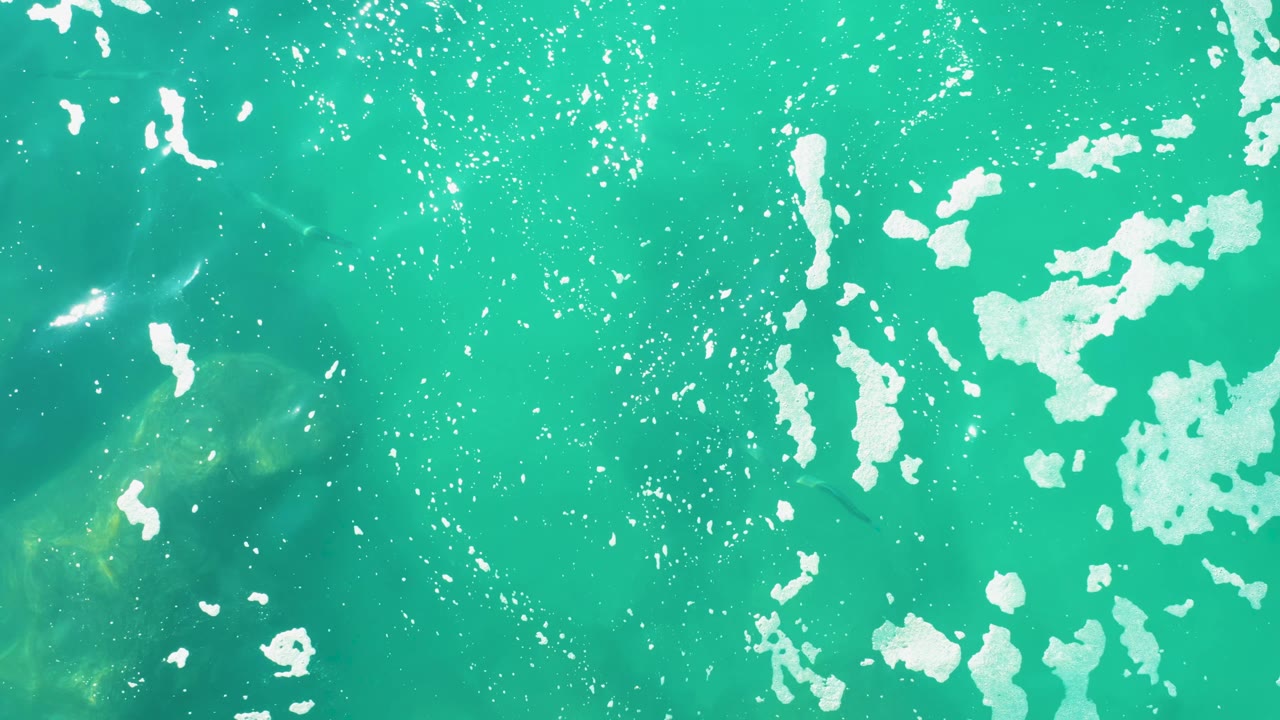 Turquoise water at Laguna Beach Los Cabos shows white foam clusters, a darker underwater rock area near the lower left, and no visible people.