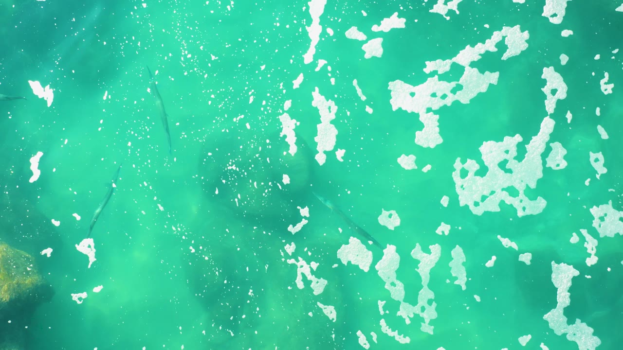 Turquoise ocean water with white surface reflections and faint fish shapes.