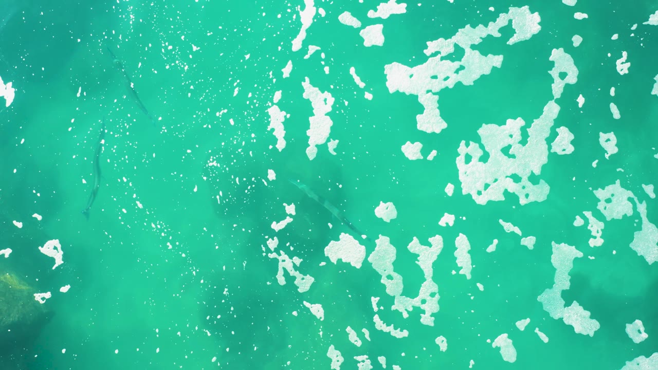 Mid-clip frame of Laguna Beach Los Cabos water with dense white reflection patches, fine bubbles, dark fish shapes near the left side, and no visible people.