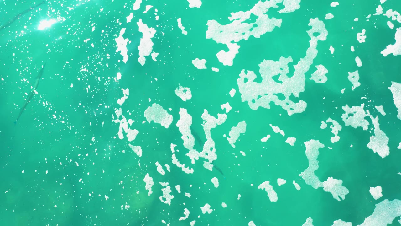 Turquoise water with white bubbles and small fish below the surface.