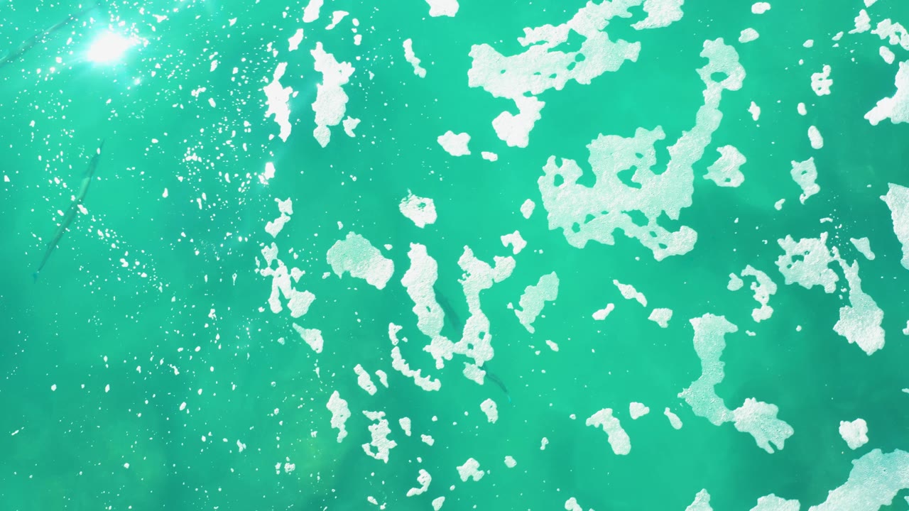 At Laguna Beach Los Cabos, clustered white foam patches drift across clear turquoise water while faint fish shapes sit deeper in the frame, with no visible people.