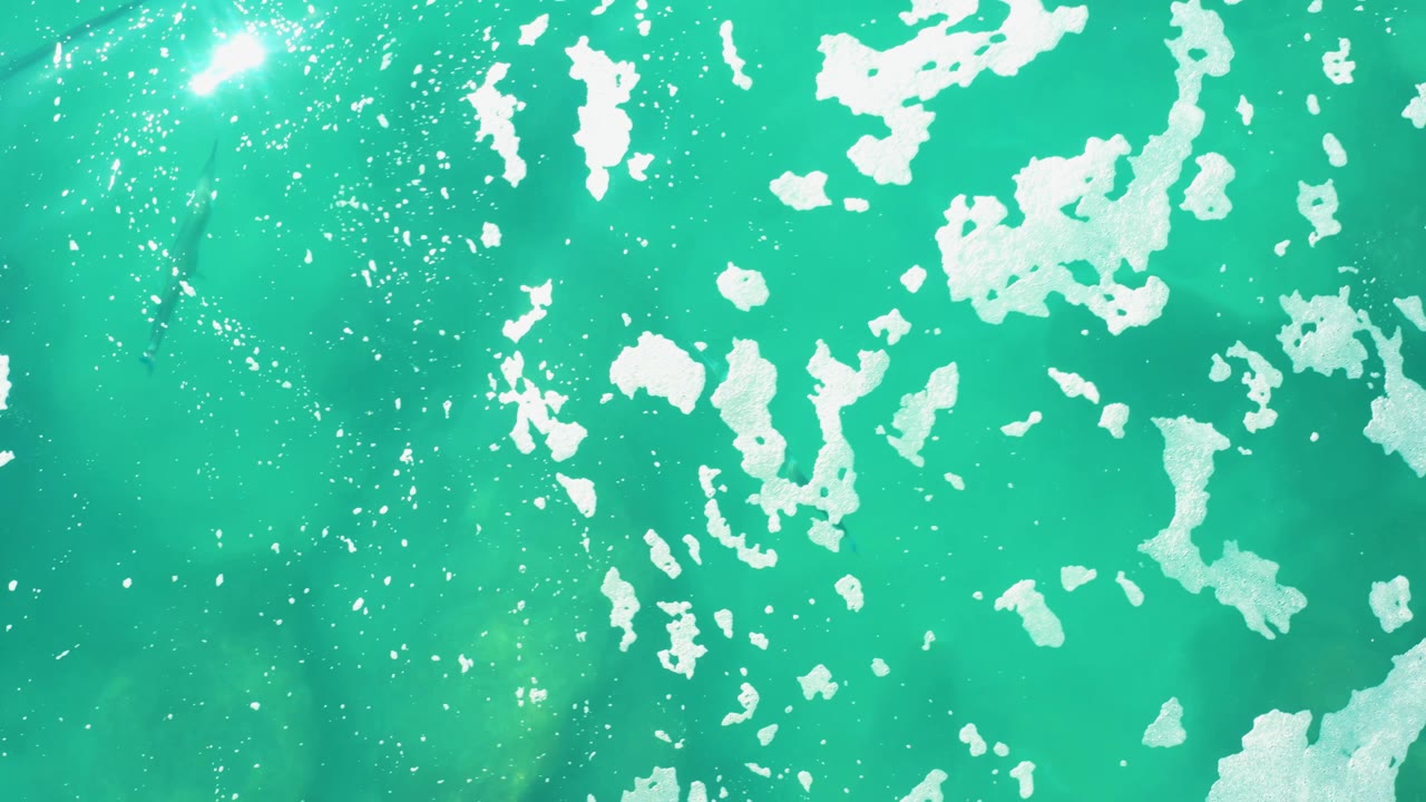 At Laguna Beach Los Cabos, sunlit turquoise water shows bright surface bubbles, irregular foam patches, and small dark fish beneath the rippled surface, with no visible people.