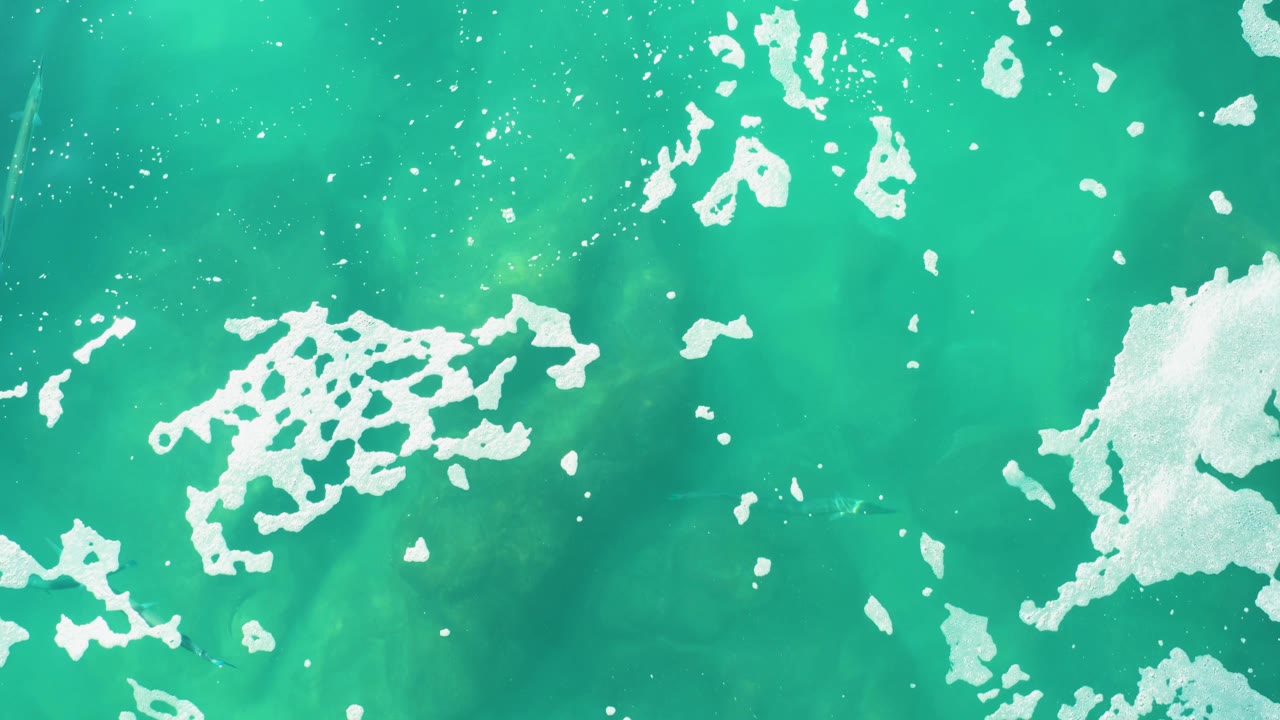 Overhead frame of green-blue ocean water in Laguna Beach Los Cabos with larger foam clusters shifted across the surface and no visible people.