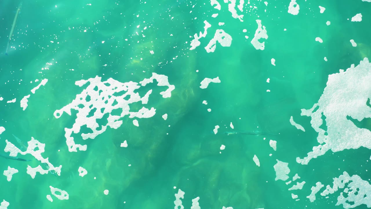 Top-down Laguna Beach Los Cabos water frame with broken white foam lines, tiny bubbles, and soft green sunlight below the surface, with no visible people.