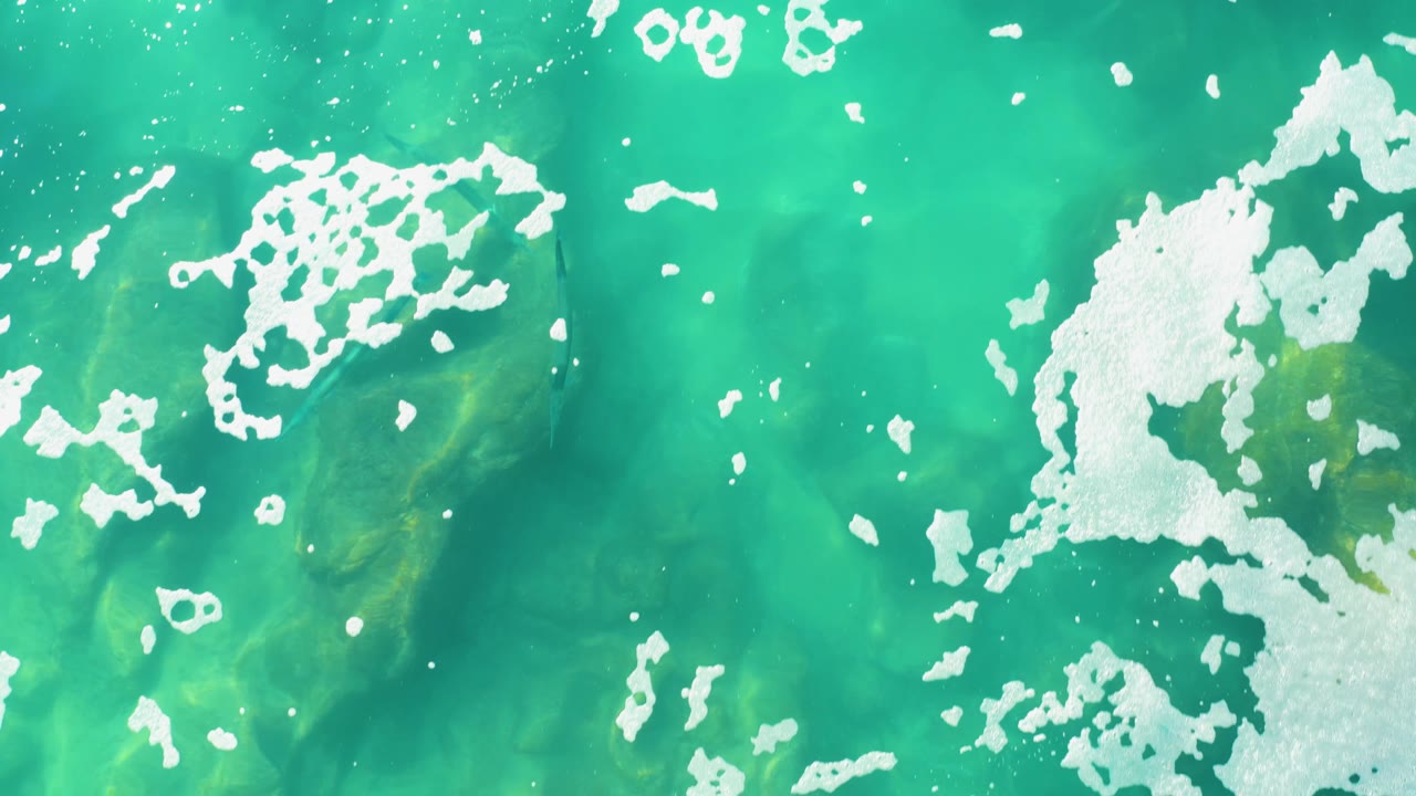 Clear turquoise water in Laguna Beach Los Cabos shows clustered white foam near the center and shadowy fish forms below the surface, with no visible people.
