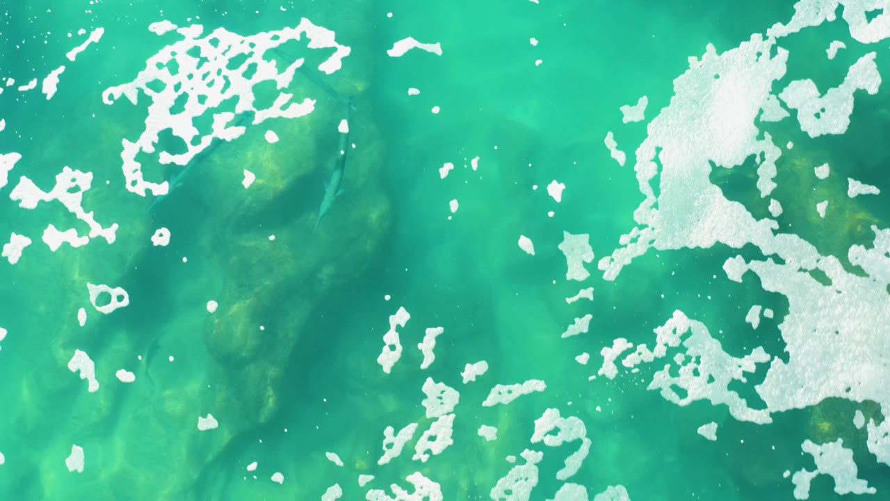 White surface foam crosses the upper part of the Laguna Beach Los Cabos frame while small fish shapes appear beneath the turquoise water, with no visible people.