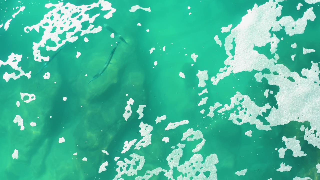 Top-down view of Laguna Beach Los Cabos water with a large white foam patch, scattered bubbles, and dim fish shapes under the turquoise surface, with no visible people.