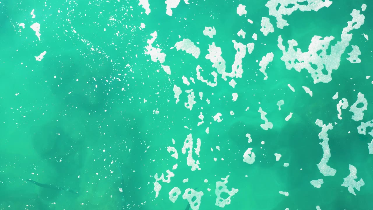 Turquoise sea surface at Laguna Beach Los Cabos shows white foam clusters near the top and darker fish shapes moving below, with no visible people.