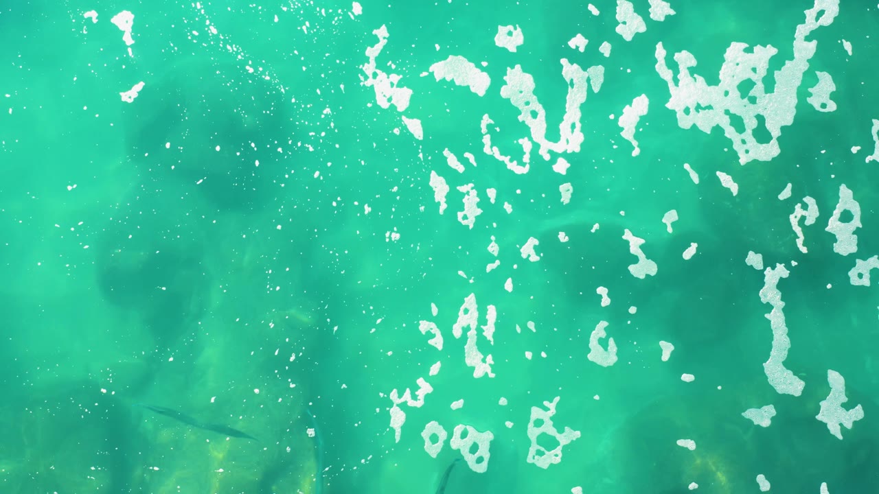 Clear turquoise water at Laguna Beach Los Cabos fills the frame with white foam, small bubbles, faint fish silhouettes near the lower left, and no visible people.