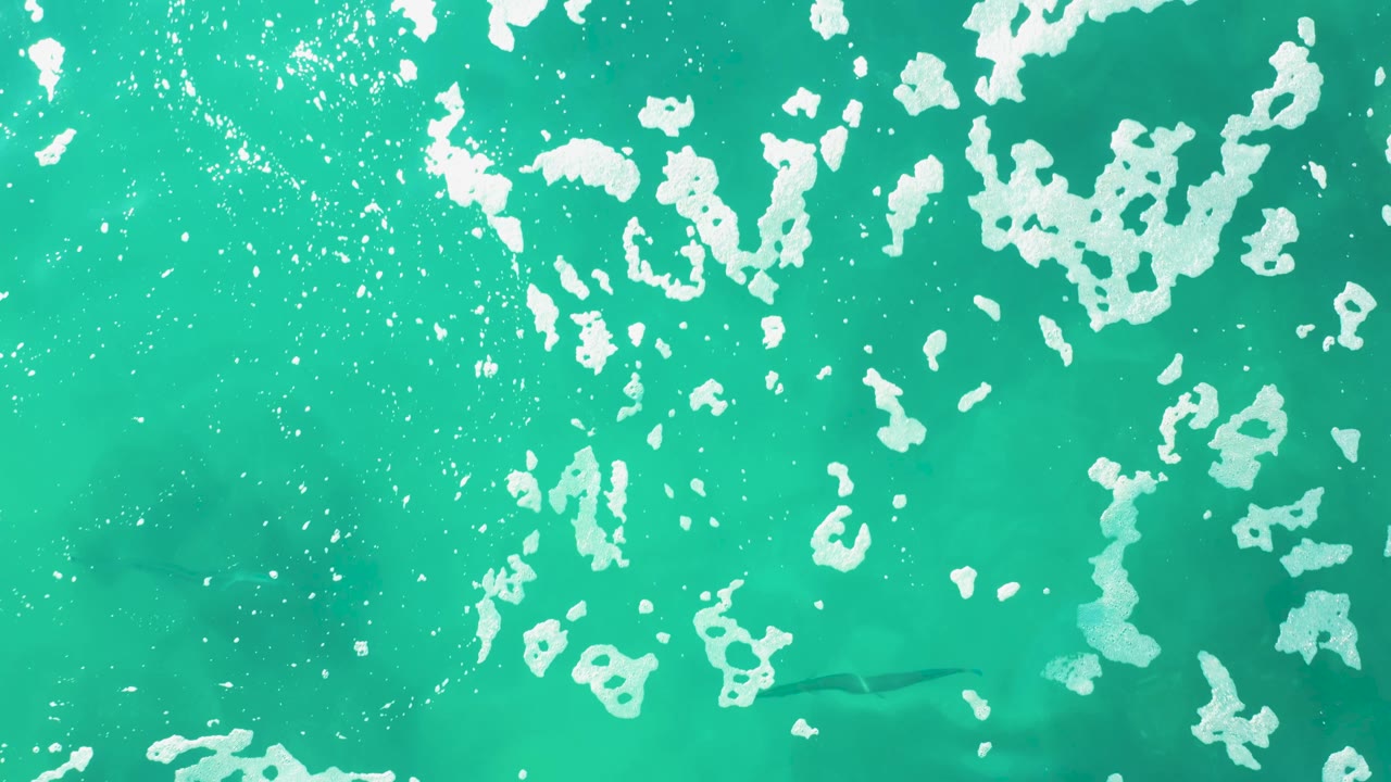 Overhead view of turquoise ocean water at Laguna Beach Los Cabos with scattered white foam and a faint submerged marine animal shape near the lower center, no visible people.