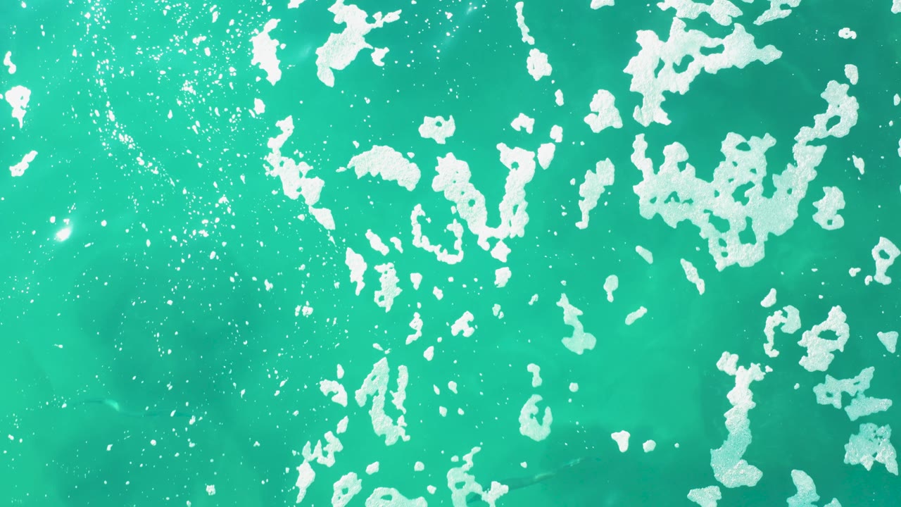 Overhead turquoise sea at Laguna Beach Los Cabos with dense white foam near the top and small bubble specks across the right side, while the marine animal is barely visible below the surface, no visible people.