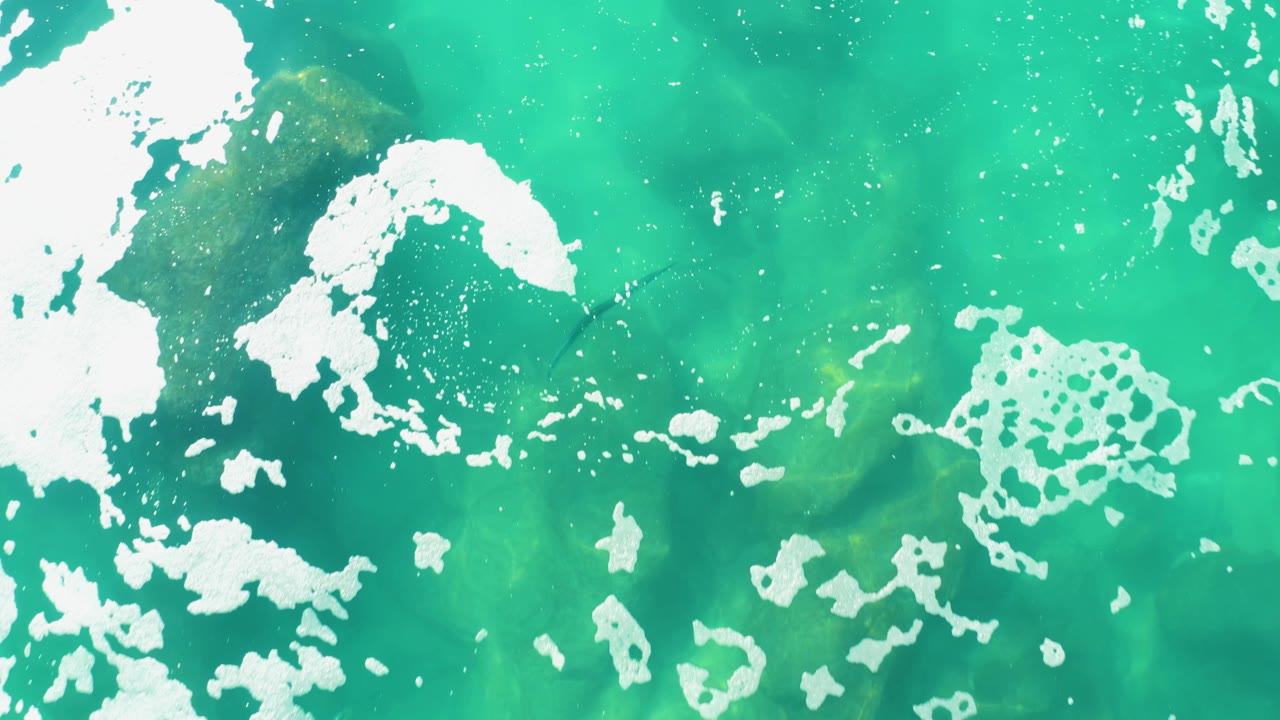 Top-down view of turquoise water at Laguna Beach Los Cabos with clustered white foam, darker submerged shapes, and no visible people.