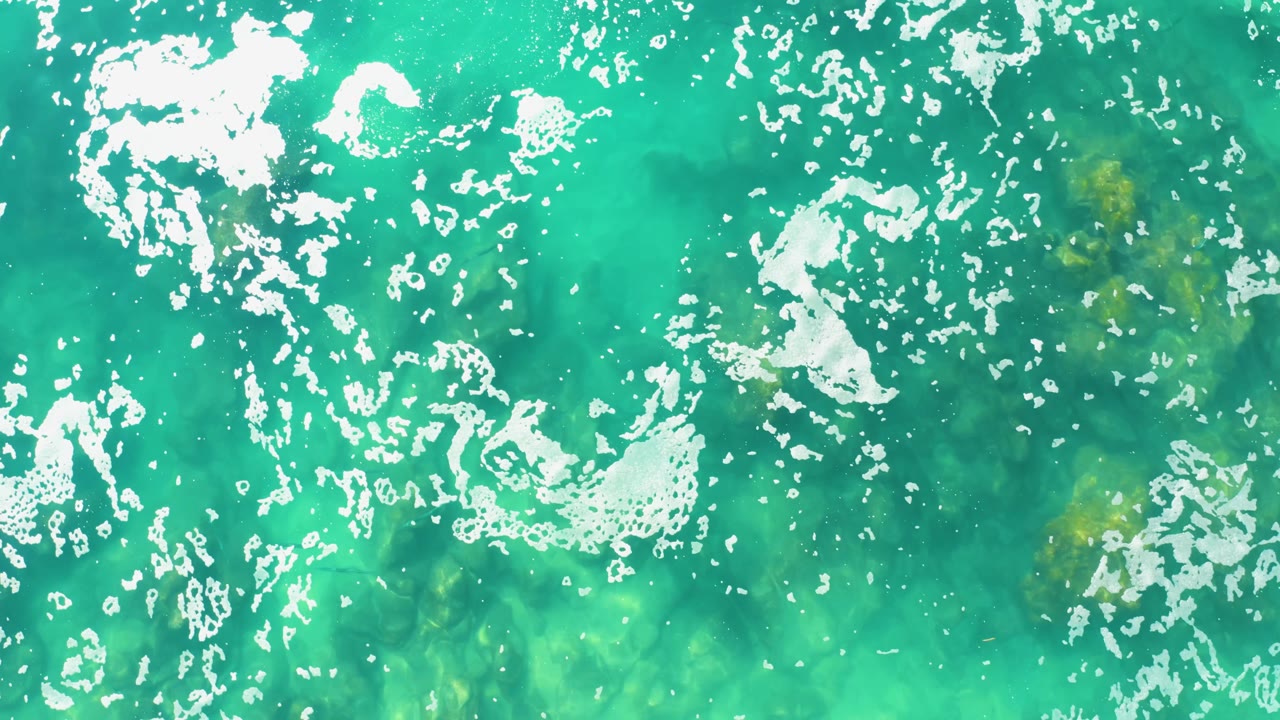 Aerial view of Laguna Beach Los Cabos water with dense foam patterns along the left edge and green underwater patches to the right, with no visible people.
