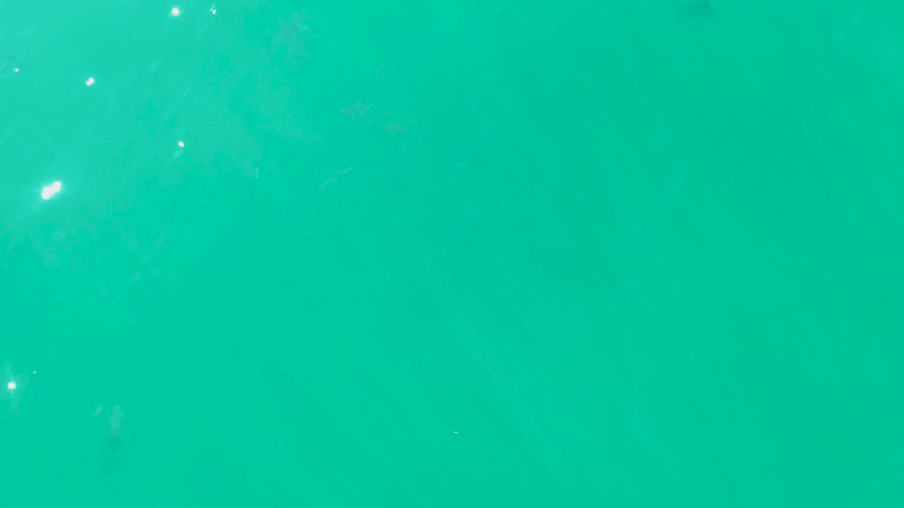 A mostly open turquoise water frame from Laguna Beach Los Cabos shows a bright sun sparkle near the upper area, faint fish beneath, and no visible people.