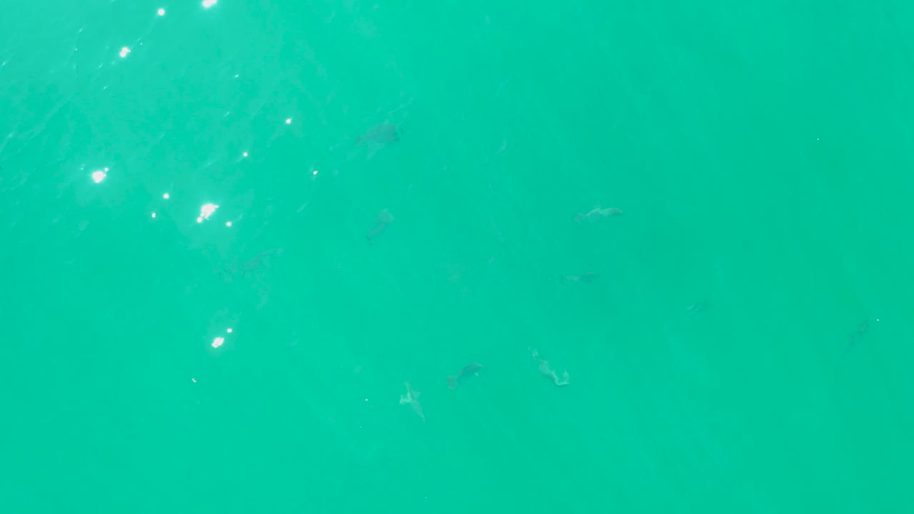 Turquoise water with faint small fish and bright surface glints.