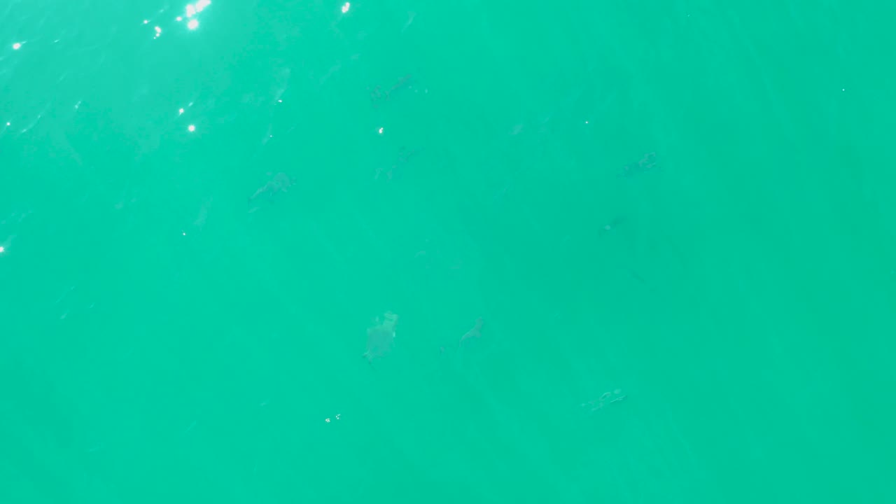 At 0:03, the frame is filled by turquoise water, soft surface shine, and faint fish silhouettes below, with no shoreline or visible people.