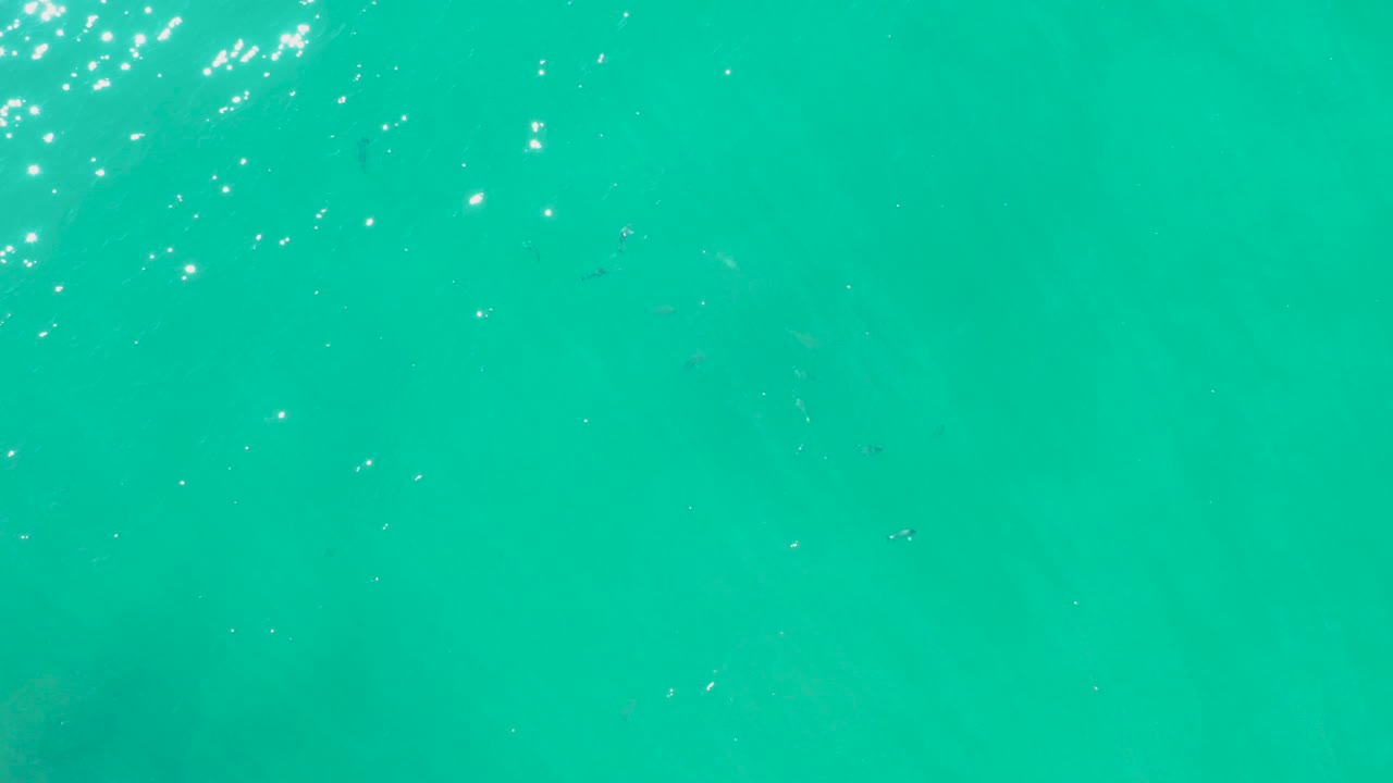 Turquoise water with sun sparkles and faint small fish below the surface.