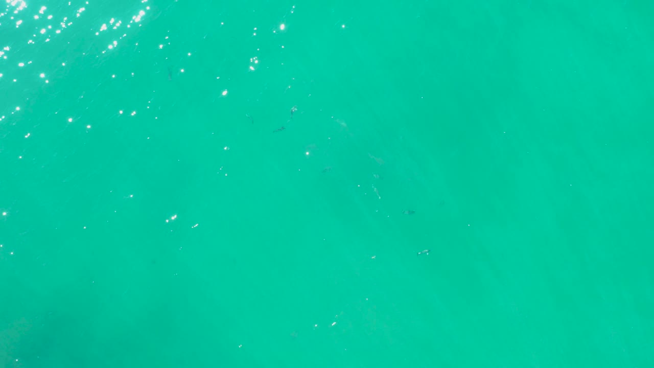 Clear turquoise water in Laguna Beach Los Cabos fills the frame with scattered sunlight highlights, small dark fish shapes, and no visible people.