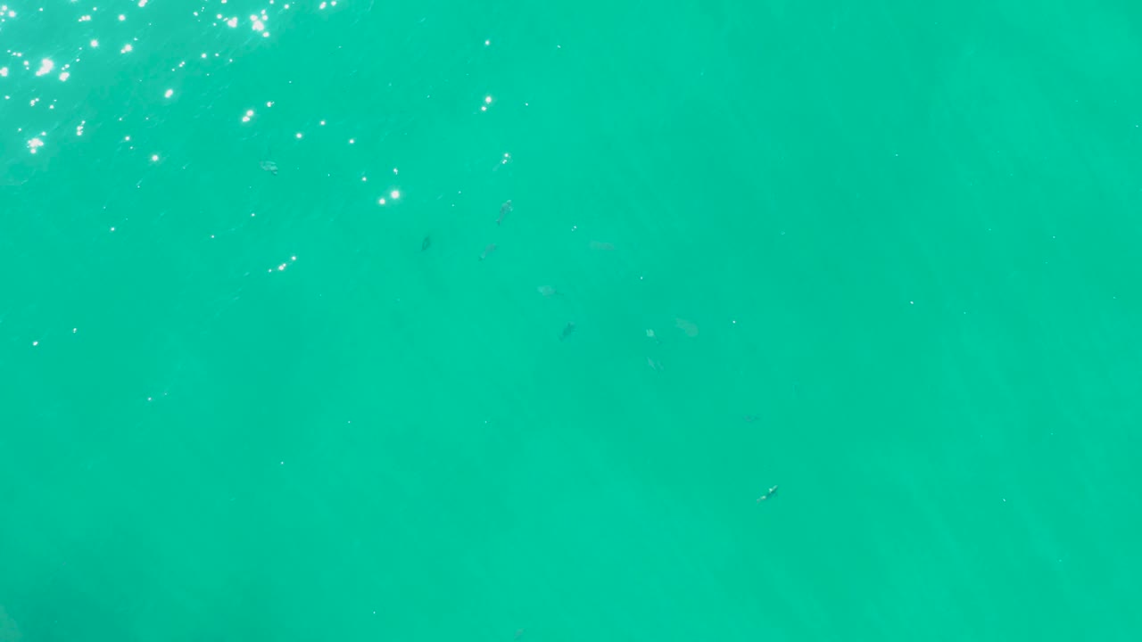 Overhead Laguna Beach Los Cabos water view with faint fish below the surface, clustered sun reflections near the upper edge, and no visible people.