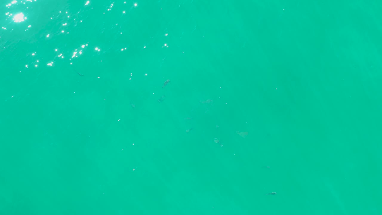 Bright turquoise water at Laguna Beach Los Cabos shows soft ripples, small fish beneath the surface, left-edge sun glints, and no visible people.
